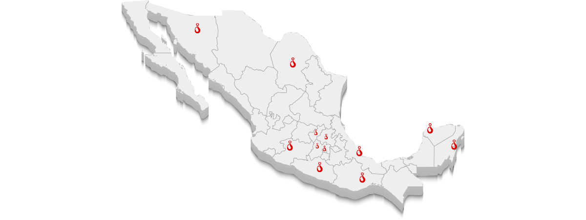 Presencia en Mexico de Link Maq en renta de gruas sobre orugas estructurales Link Belt